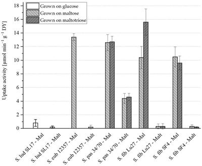 Beer fermentation performance and sugar uptake of Saccharomycopsis fibuligera–A novel option for low-alcohol beer